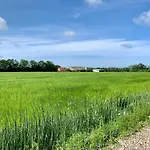 Hennebjerg *