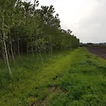 Bauernhof Hennebjerg *