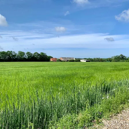 Hennebjerg *