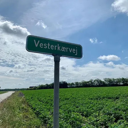 Lantgård Hennebjerg *